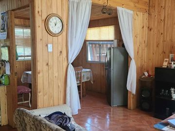 Venta parcela con Casas y plantación de arandanos