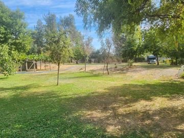 Venta parcela con Casas y plantación de arandanos