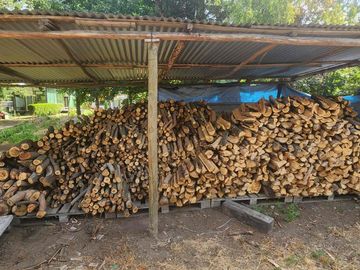 Venta parcela con Casas y plantación de arandanos