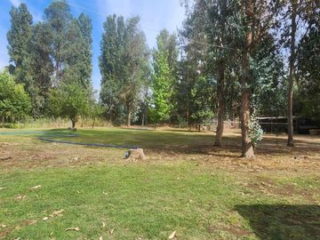 Venta parcela con Casas y plantación de arandanos