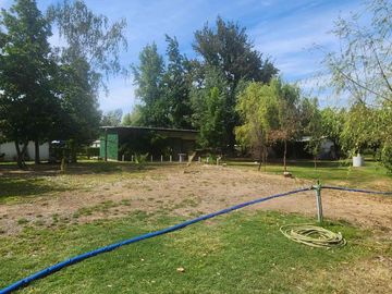Venta parcela con Casas y plantación de arandanos