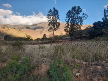 TERRENO EN VENTA EN HUANUCO