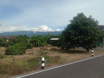 For Sale House with Land 2-0-9.6 Rai by Ping River, Near Ban Mae Soi School, Chiang Mai Location: Mae Soi Subdistrict, Chom Thong District, Chiang Mai