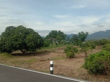For Sale House with Land 2-0-9.6 Rai by Ping River, Near Ban Mae Soi School, Chiang Mai Location: Mae Soi Subdistrict, Chom Thong District, Chiang Mai