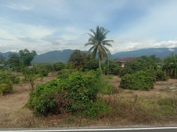 For Sale House with Land 2-0-9.6 Rai by Ping River, Near Ban Mae Soi School, Chiang Mai Location: Mae Soi Subdistrict, Chom Thong District, Chiang Mai