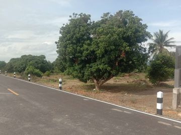 For Sale House with Land 2-0-9.6 Rai by Ping River, Near Ban Mae Soi School, Chiang Mai Location: Mae Soi Subdistrict, Chom Thong District, Chiang Mai