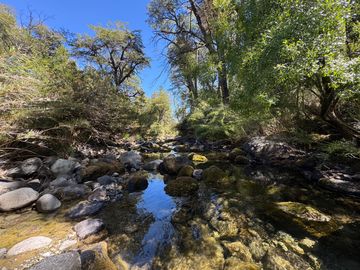 Parcela 9.700M2 con cabaña orilla de río km 62 camino Termas de Chillán