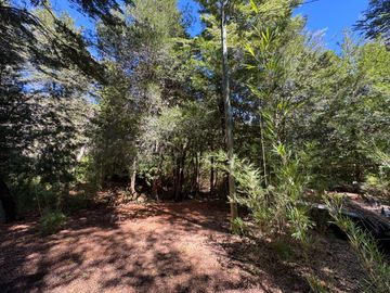 Parcela 9.700M2 con cabaña orilla de río km 62 camino Termas de Chillán