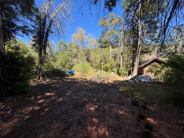 Parcela 9.700M2 con cabaña orilla de río km 62 camino Termas de Chillán
