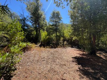 Parcela 9.700M2 con cabaña orilla de río km 62 camino Termas de Chillán