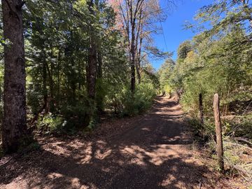 Parcela 9.700M2 con cabaña orilla de río km 62 camino Termas de Chillán