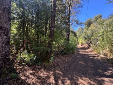 Parcela 9.700M2 con cabaña orilla de río km 62 camino Termas de Chillán