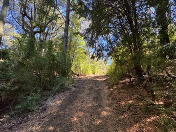 Parcela 9.700M2 con cabaña orilla de río km 62 camino Termas de Chillán