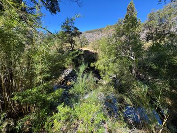 Parcela 9.700M2 con cabaña orilla de río km 62 camino Termas de Chillán