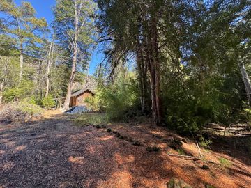 Parcela 9.700M2 con cabaña orilla de río km 62 camino Termas de Chillán