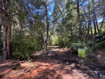 Parcela 9.700M2 con cabaña orilla de río km 62 camino Termas de Chillán