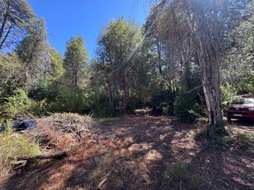 Parcela 9.700M2 con cabaña orilla de río km 62 camino Termas de Chillán