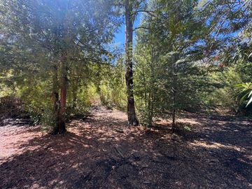Parcela 9.700M2 con cabaña orilla de río km 62 camino Termas de Chillán