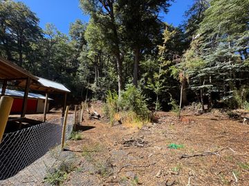 Parcela 5000M2 en valle Las Trancas, termas de Chillán