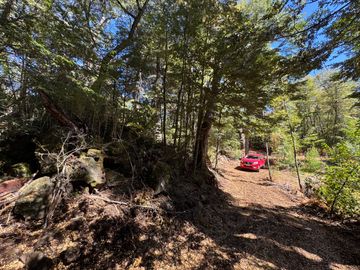 Parcela 5000M2 en valle Las Trancas, termas de Chillán