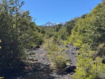 Parcela 5000M2 en valle Las Trancas, termas de Chillán