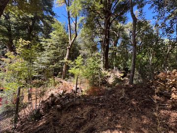 Parcela 5000M2 en valle Las Trancas, termas de Chillán