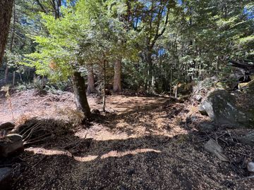 Parcela 5000M2 en valle Las Trancas, termas de Chillán