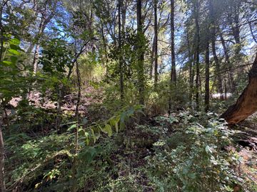 Parcela 5000M2 en valle Las Trancas, termas de Chillán