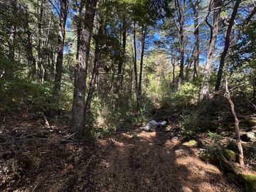 Parcela 5000M2 en valle Las Trancas, termas de Chillán