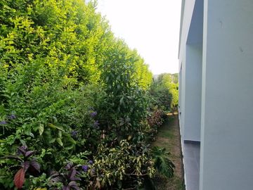 VENDO CASA CAMPESTRE EN PANCE CALI
