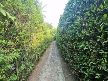 VENDO CASA CAMPESTRE EN PANCE CALI