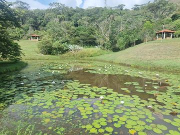 VENDO CASA CAMPESTRE EN VERDE HORIZONTE JAMUNDI