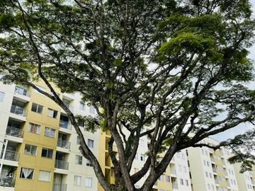 VENDO APARTAMENTO EN PANGOLA JAMUNDI