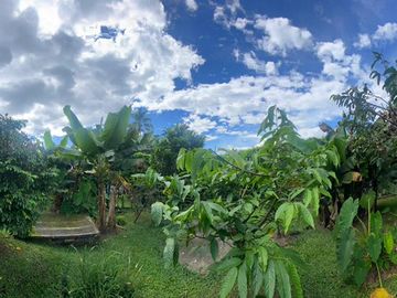 VENDO FINCA CAMPESTRE EN ARMENIA ÁREA 2.208M2