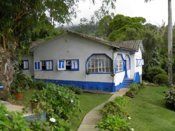 VENDO FINCA EN BORRERO AYERBE, KM 30