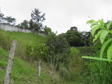 VENDO FINCA EN BORRERO AYERBE, KM 30