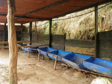 VENDO FINCA EN BORRERO AYERBE, KM 30