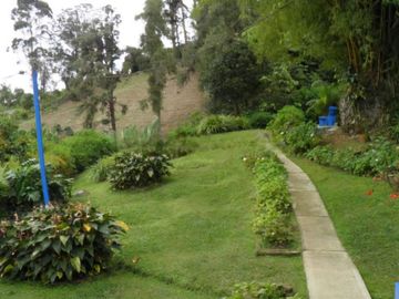 VENDO FINCA EN BORRERO AYERBE, KM 30