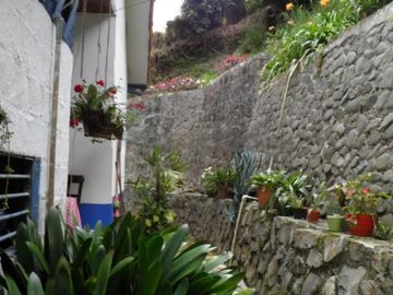 VENDO FINCA EN BORRERO AYERBE, KM 30