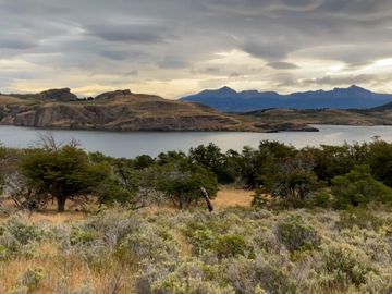 Venta de parcelas en Laguna Sofía, Puerto Natales - Región de Magallanes