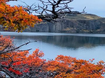 Venta de parcelas en Laguna Sofía, Puerto Natales - Región de Magallanes