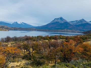 Venta de parcelas en Laguna Sofía, Puerto Natales - Región de Magallanes