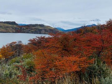Venta de parcelas en Laguna Sofía, Puerto Natales - Región de Magallanes