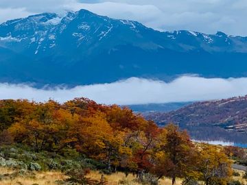 Venta de parcelas en Laguna Sofía, Puerto Natales - Región de Magallanes