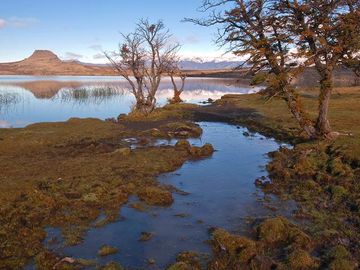 Venta de parcelas en Laguna Sofía, Puerto Natales - Región de Magallanes