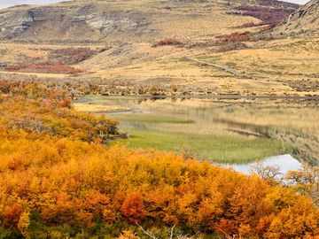 Venta de parcelas en Laguna Sofía, Puerto Natales - Región de Magallanes