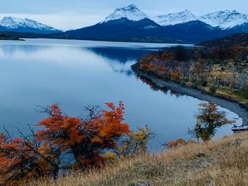 Venta de parcelas en Laguna Sofía, Puerto Natales - Región de Magallanes