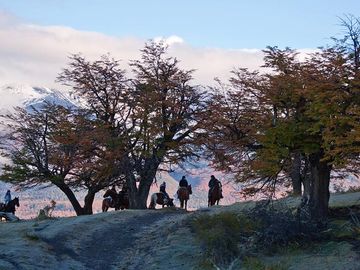 Venta de parcelas en Laguna Sofía, Puerto Natales - Región de Magallanes