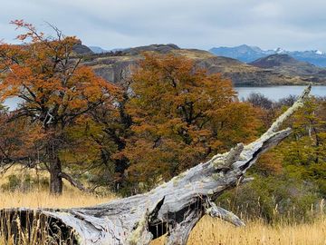 Venta de parcelas en Laguna Sofía, Puerto Natales - Región de Magallanes