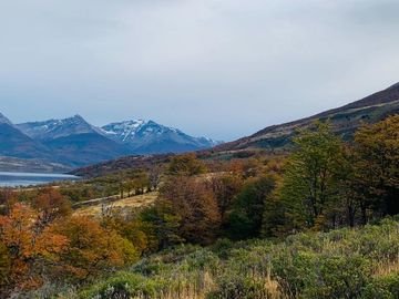 Venta de parcelas en Laguna Sofía, Puerto Natales - Región de Magallanes